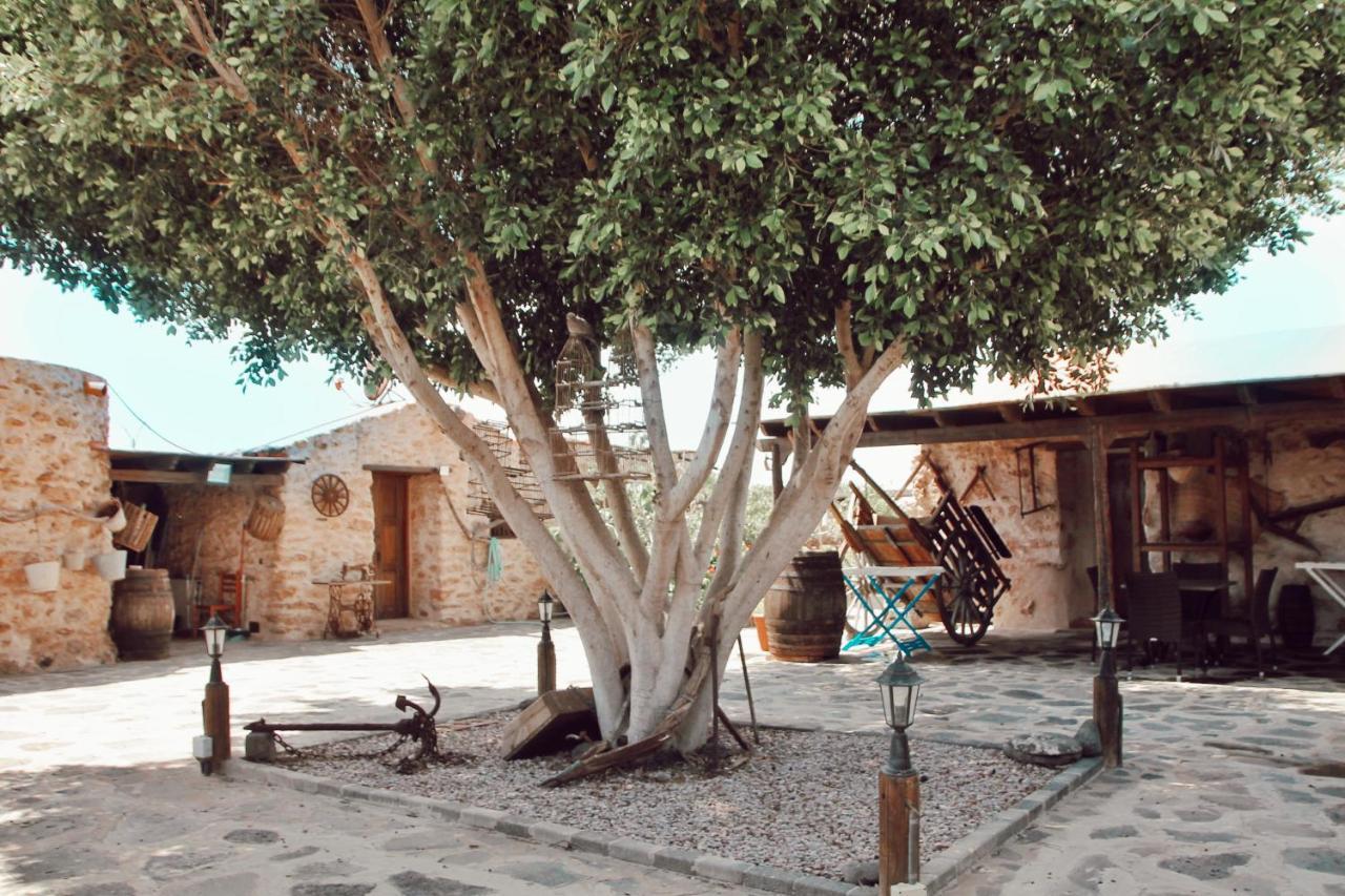 Tiscamanita Agroturismo La Gayria מראה חיצוני תמונה
